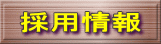 ̗p 